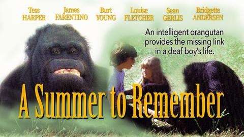 A Summer to Remember (1985)