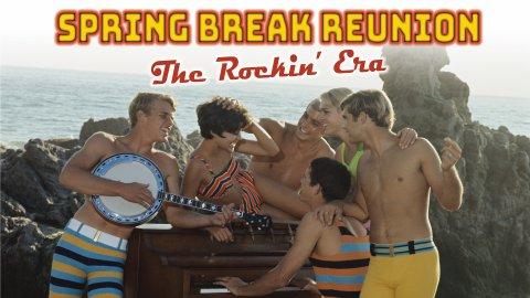 Spring Break Reunion: The Rockin' Era (1987)